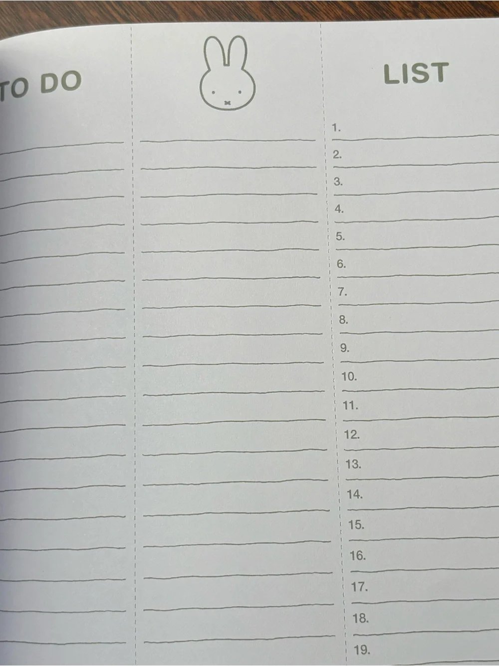 miffy 17 Month Planner — Green, Orange & Yellow Accents: Aug 2026 - Dec 2027